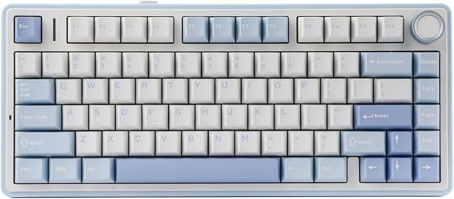 EPOMAKER x Aula F75 Gasket Mechanical Keyboard, 75% Wireless Hot Swappable Gaming Keyboard with F... | Amazon (US)