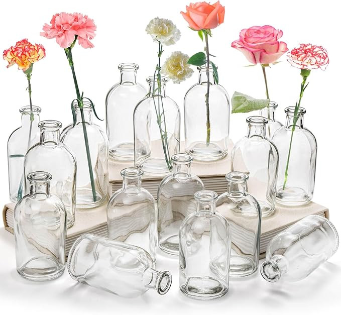 YOUEON 16 Pack Clear Glass Bud Vases, Small Bud Vases in Bulk, Glass Flower Vases for Centerpiece... | Amazon (US)