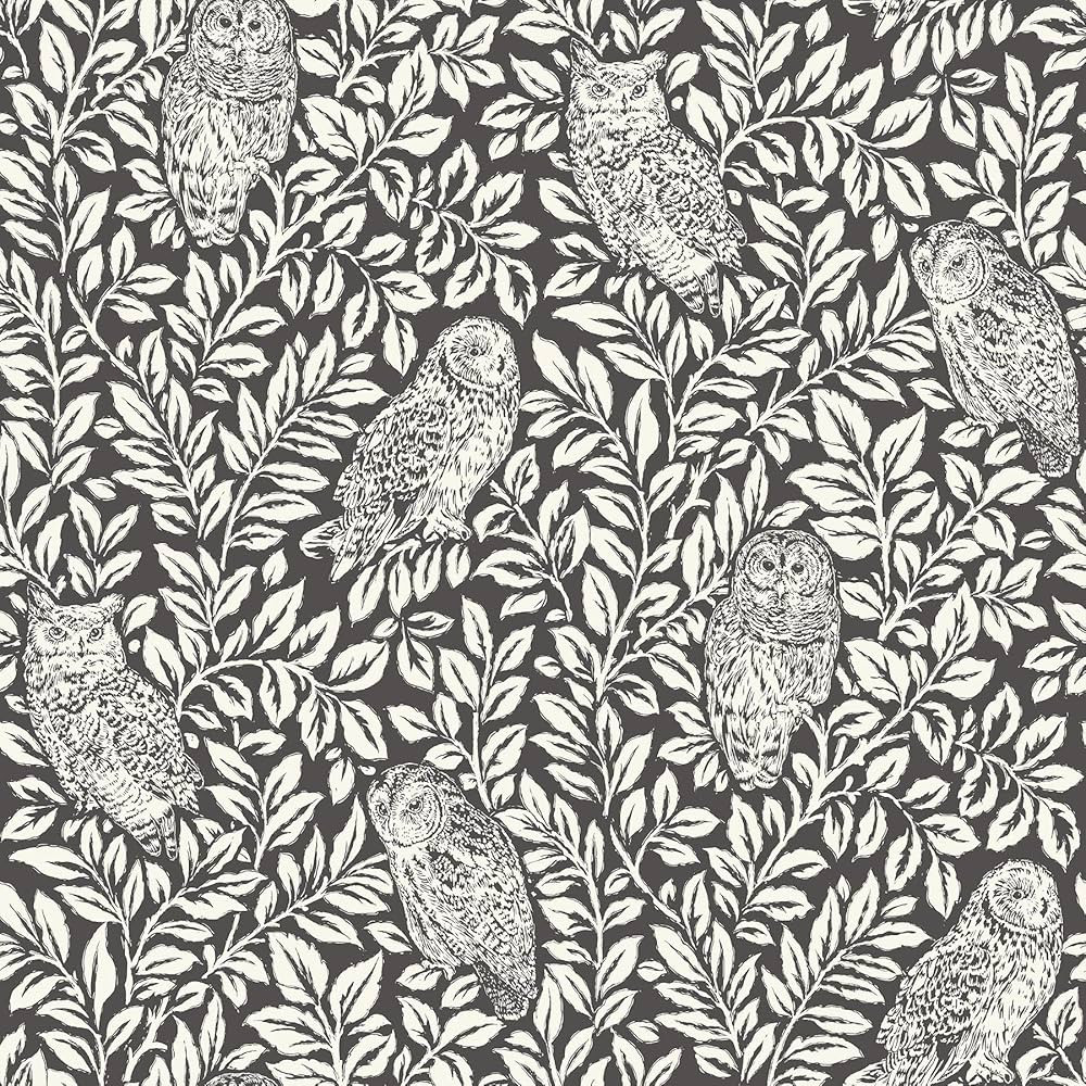 NuWallpaper NUS3625 Sleepy Owls Peel & Stick Wallpaper, Charcoal | Amazon (US)