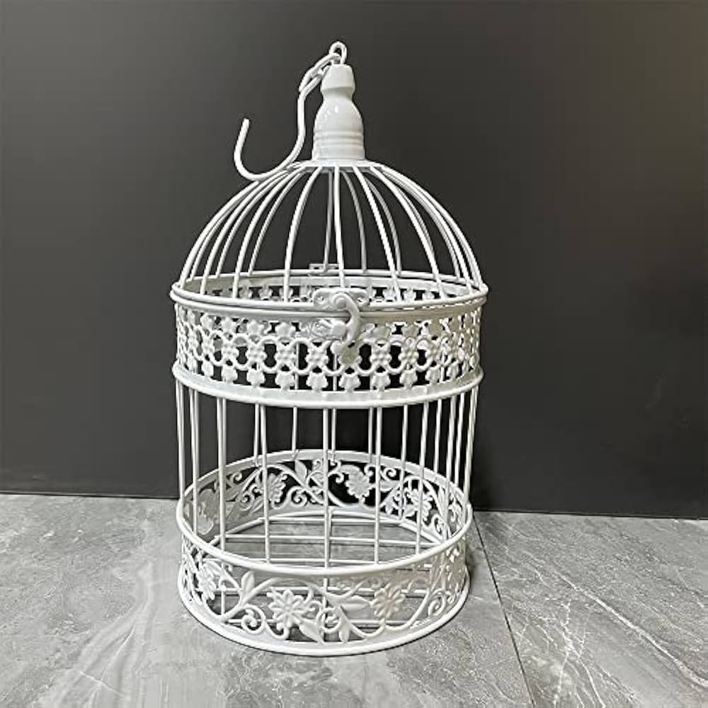 Iron Bird Cage for Wedding Decor and Flower Cage Decor Perfect Props for Hanging Flower Frames Indoor and Outdoor Decoration at Wedding Parties (White) | Amazon (US)