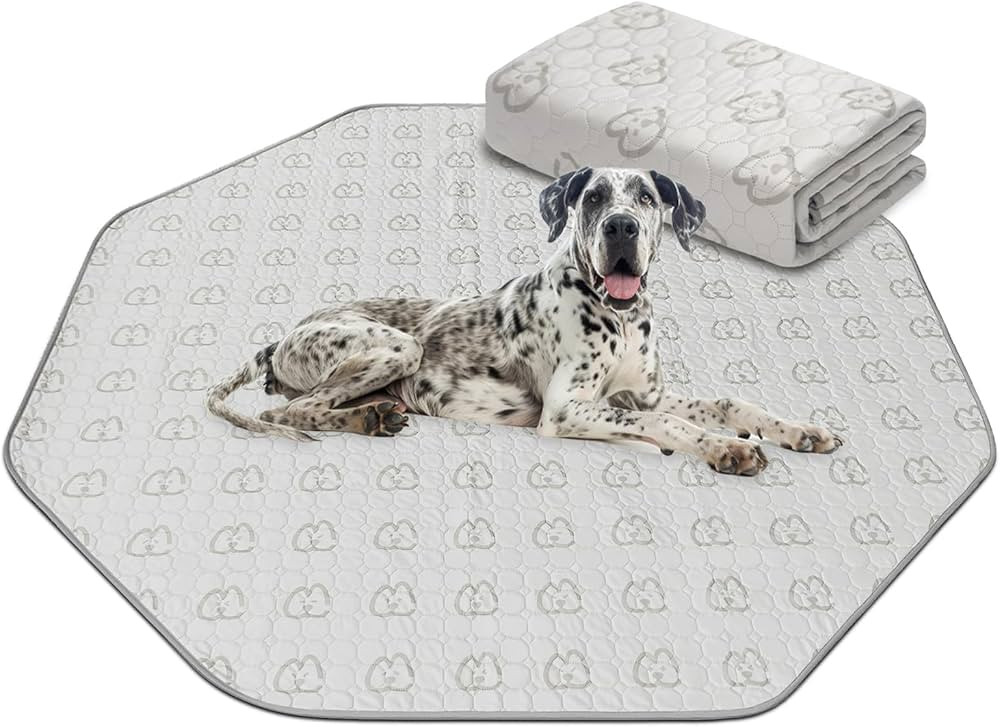 FXW Washable Pee Pads for Dogs, Puppy Pads with Super Absorbent, 70.9" x 70.9", Specifically Desi... | Amazon (US)