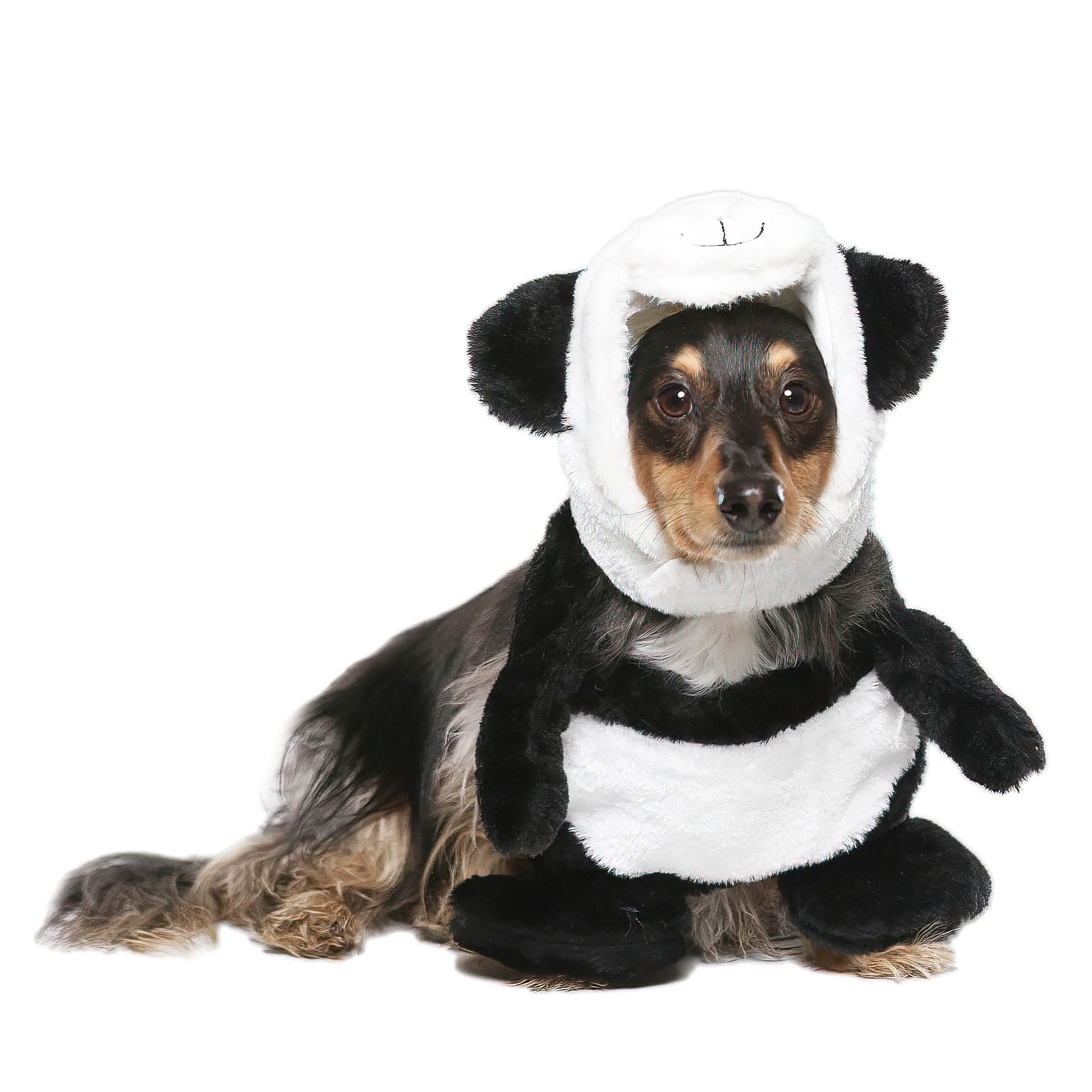 Vibrant Life Halloween Dog Costume and Cat Costume: Panda, Size Small | Walmart (US)