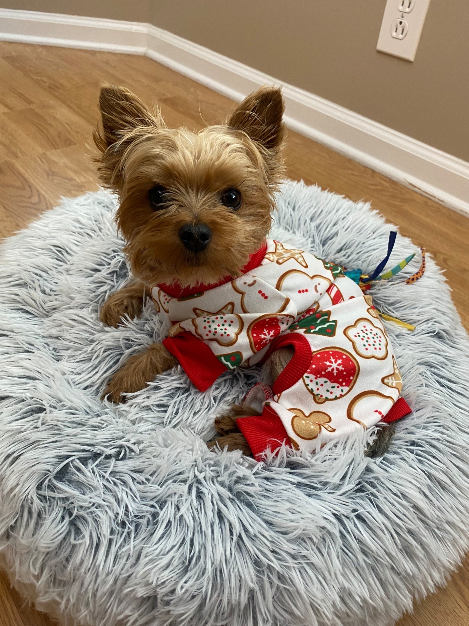 Christmas Fog Pajamas 

#LTKHoliday