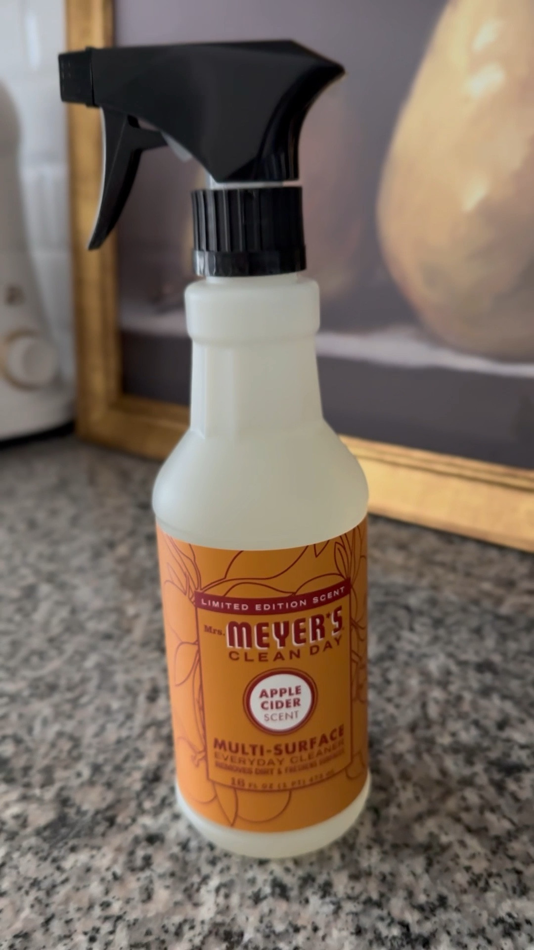 These limited edition Fall scents for cleaning products are my new favs. 


#LTKSeasonal #LTKVideo #LTKHome