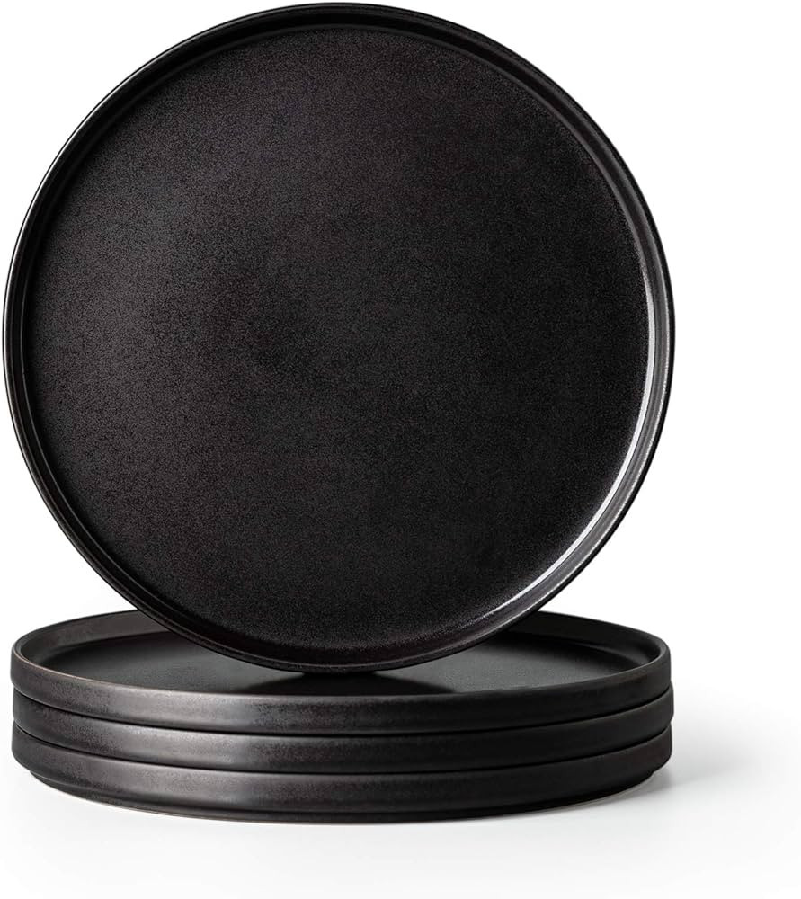 AmorArc Stoneware Dinner Plates Set of 4, 10.25 Inch Reactive Matte Glaze Ceramic Plates Set, Mod... | Amazon (US)