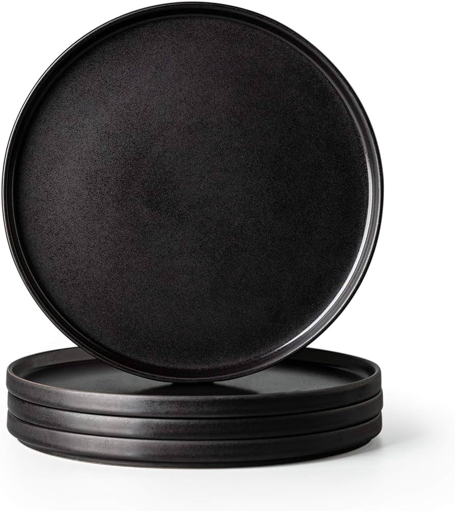AmorArc Stoneware Dinner Plates Set of 4, 10.25 Inch Reactive Matte Glaze Ceramic Plates Set, Mod... | Amazon (US)