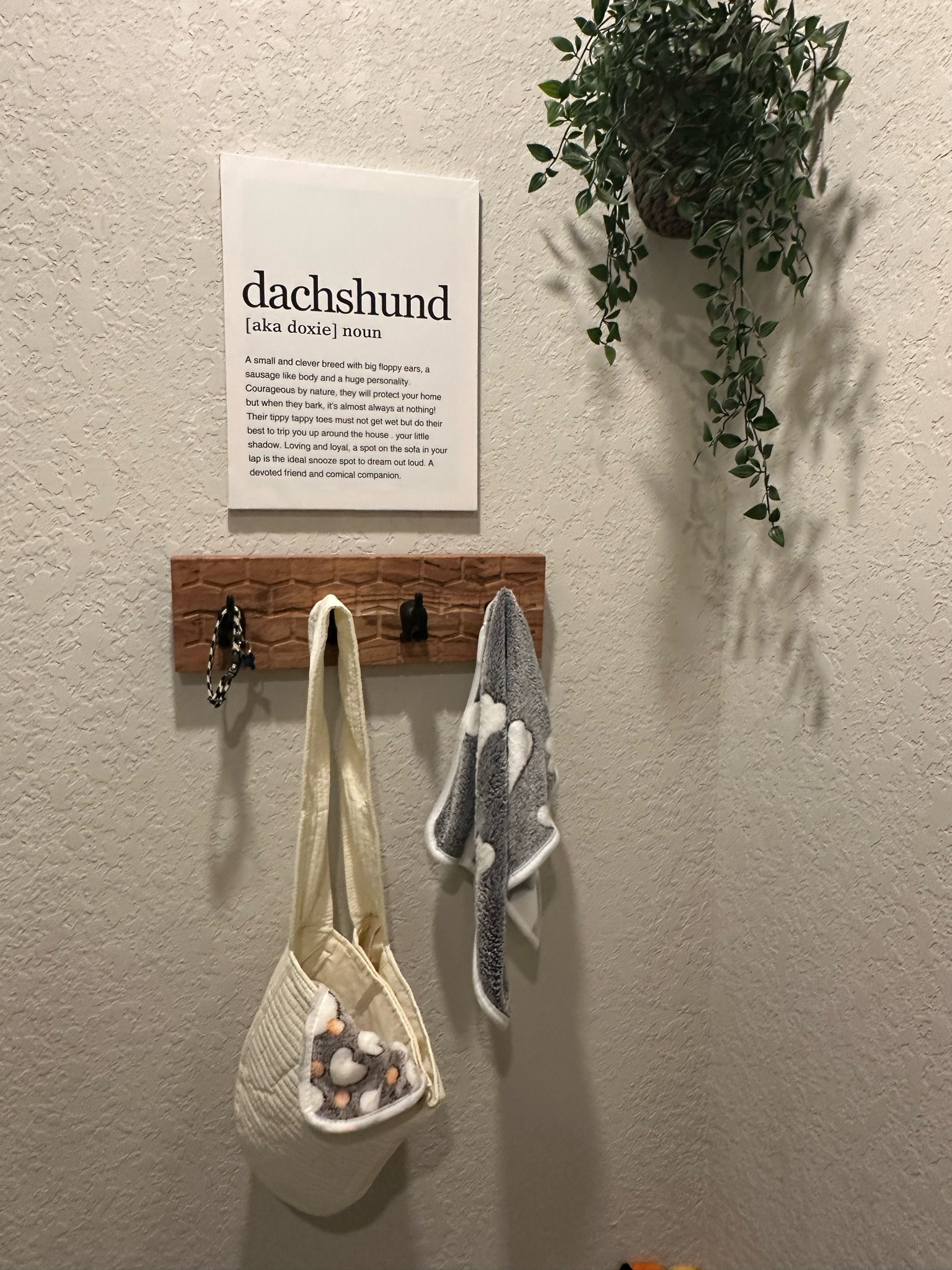 New puppy items 

#LTKFamily #LTKHome