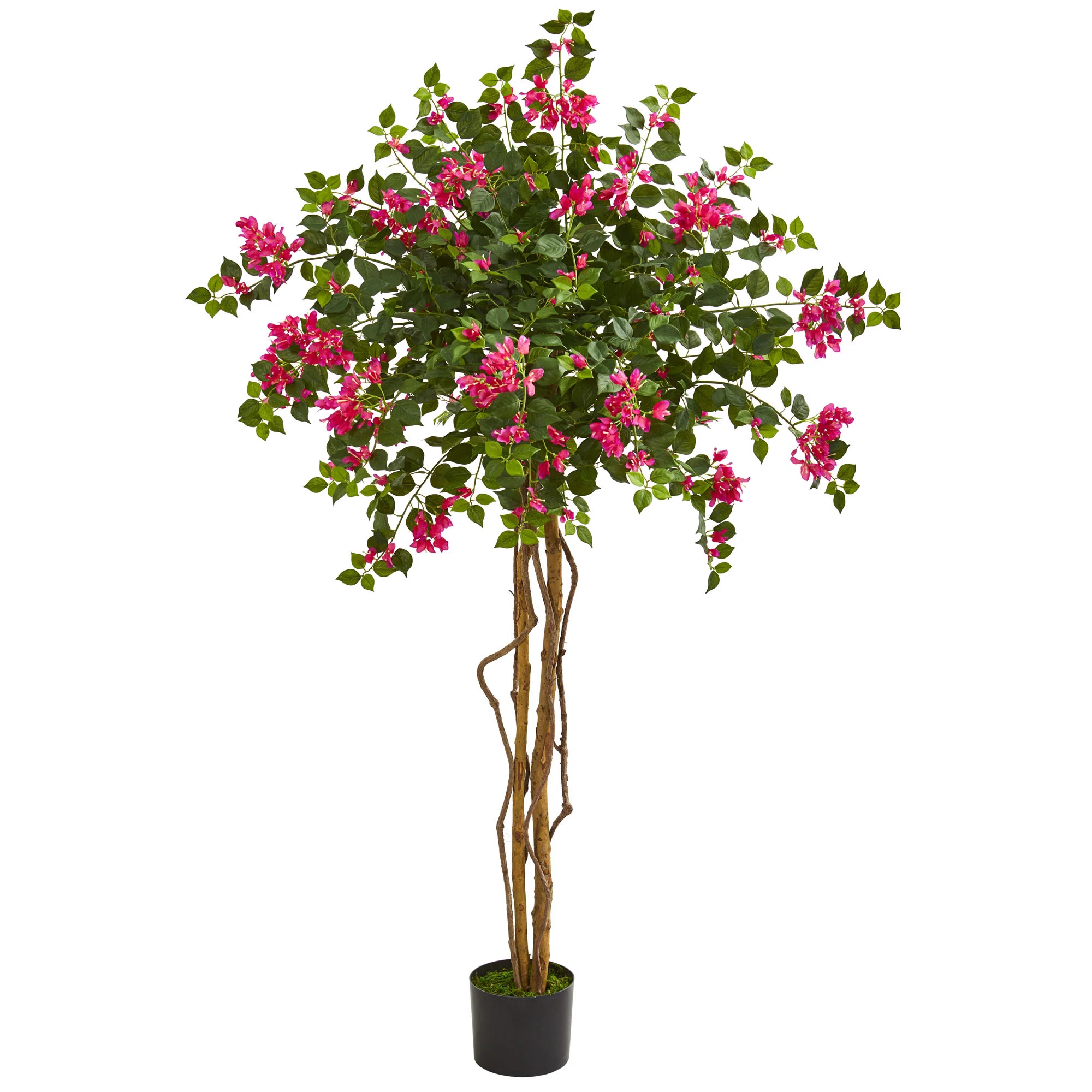 66'' Faux Foliage Tree in Planter | Wayfair North America