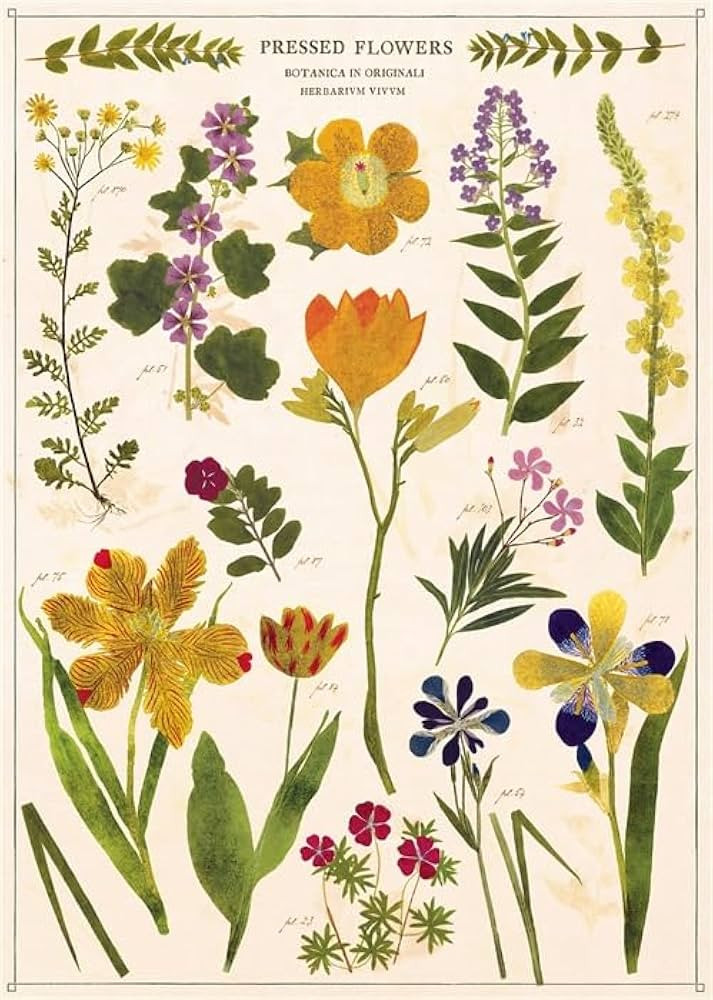Cavallini & Co. Pressed Flowers Decorative Paper Wrap- 20x28" Sheet | Amazon (US)