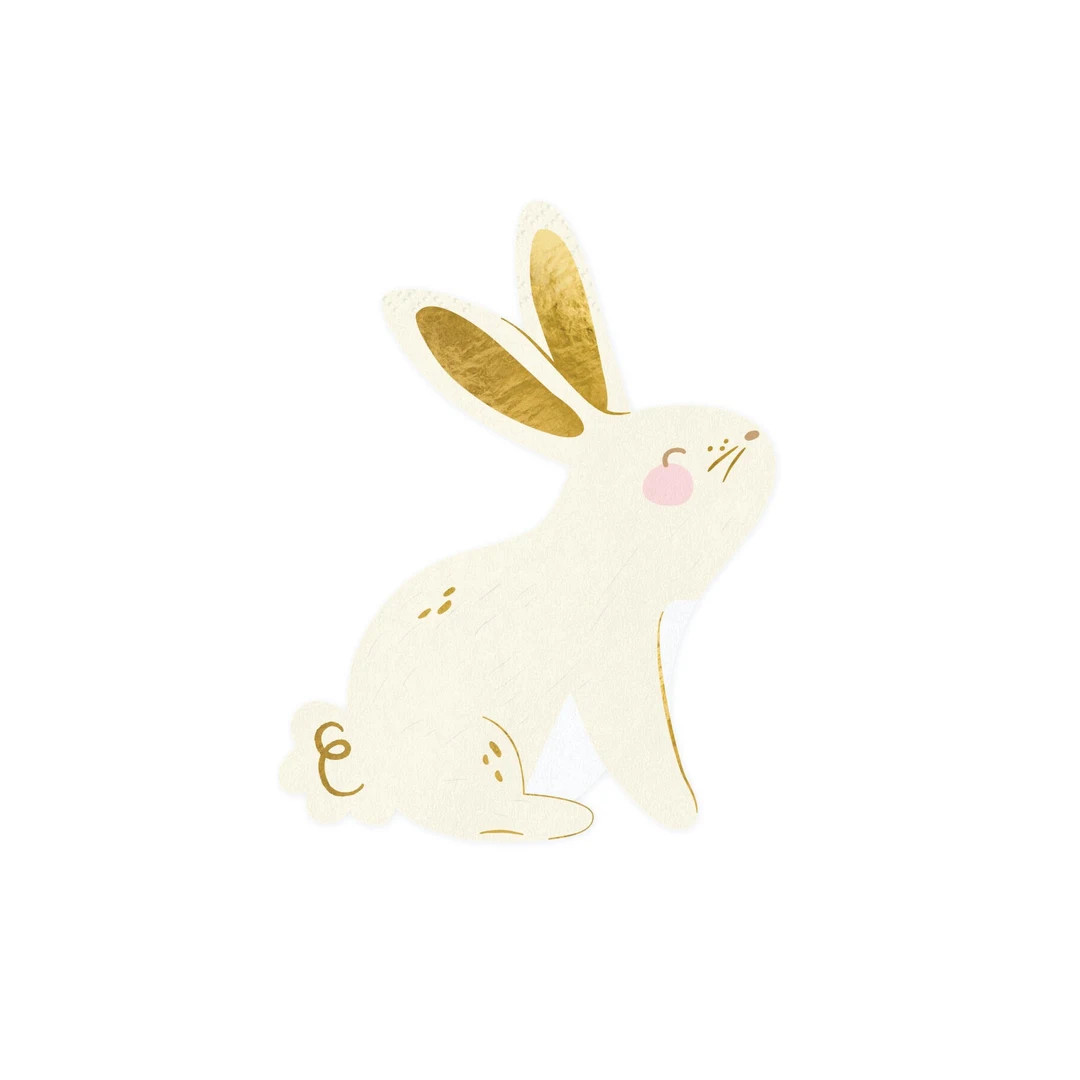 Spring Bunny Dessert Napkins 20ct | Spring Baby Shower | Easter Party | Spring Garden Party Easte... | Etsy (US)