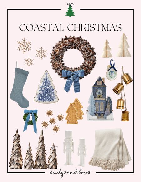 A Coastal Christmas! Shop home decor for the holidays!🎄🎁🎅

#LTKGiftGuide #LTKHoliday #LTKSeasonal