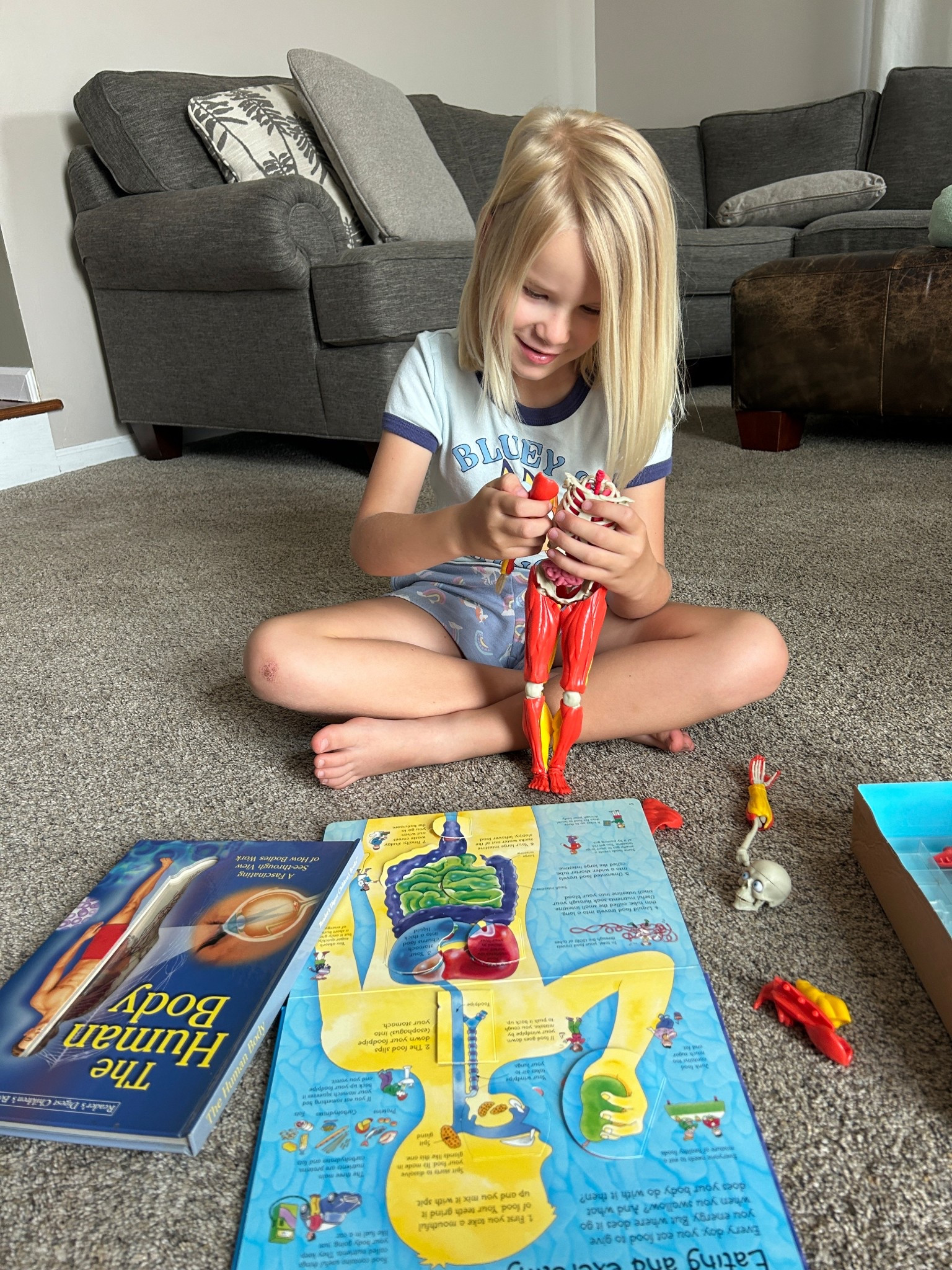 Human Anatomy Homeschool👀🧠💀

#LTKKids #LTKmomlife