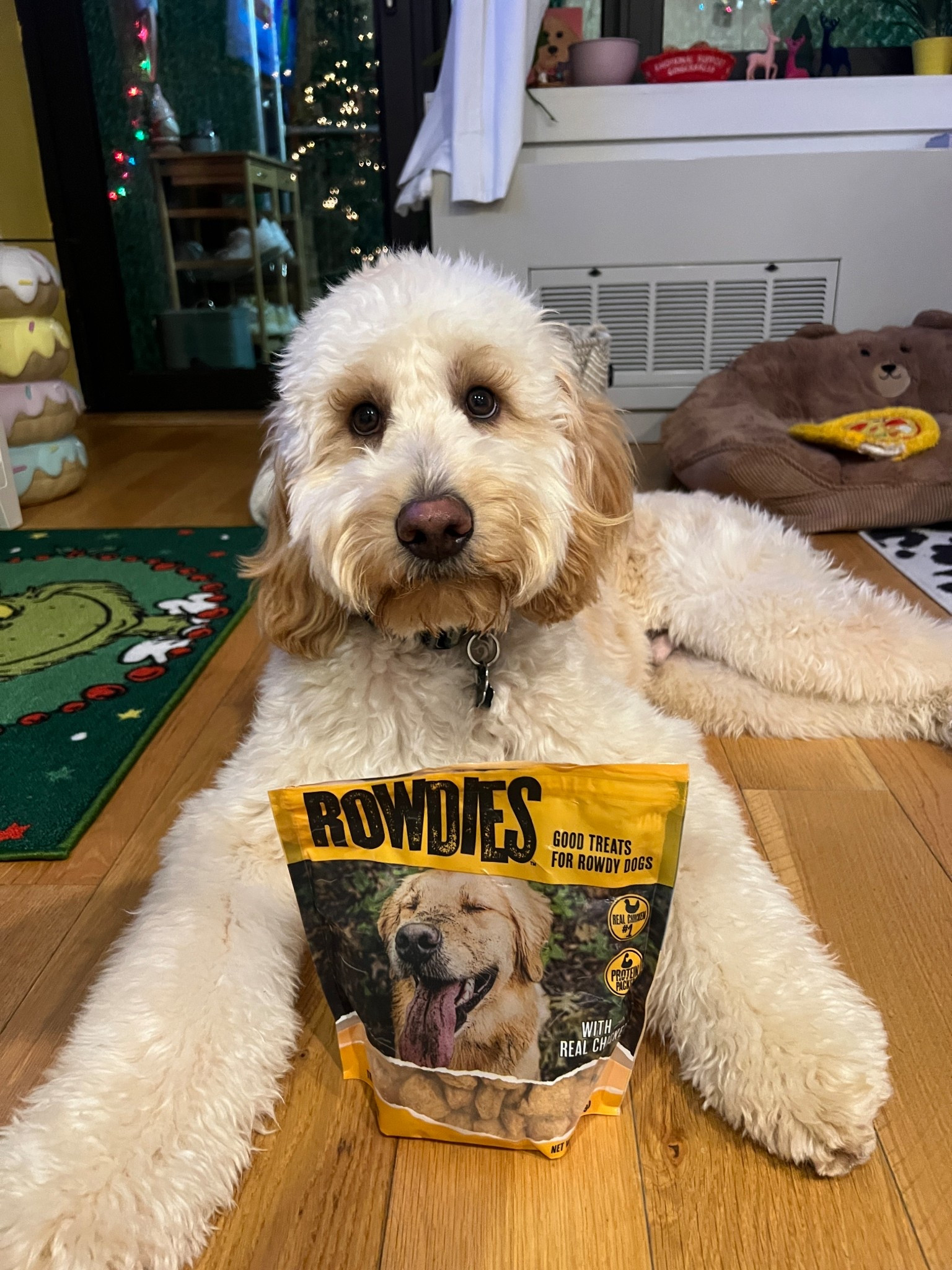 #AD Biscuit is ready to get ROWDIE! 🐶

#RowdiesDogTreats #RowdiesPartner #GetRowdies #TargetPartner #Target