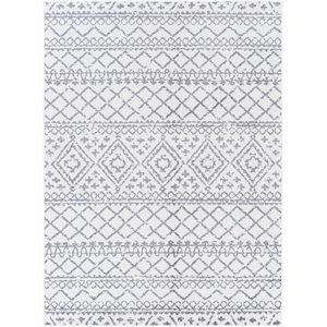 Andalus ADU-2315 5'3" x 7' Rug in Gray and White | Homesquare