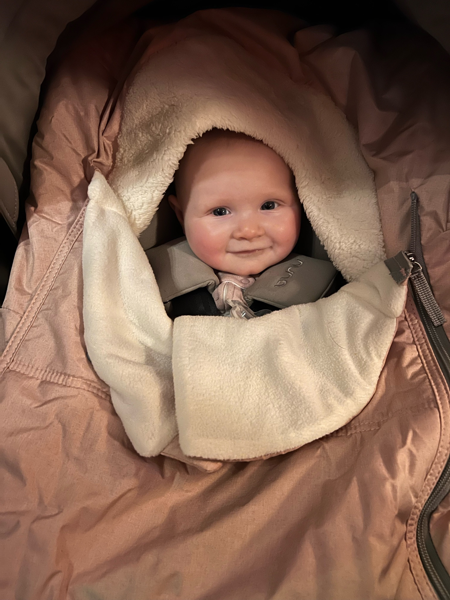 The best car seat cover on sale!! 

#LTKCyberSaleES #LTKbaby #LTKCyberWeek