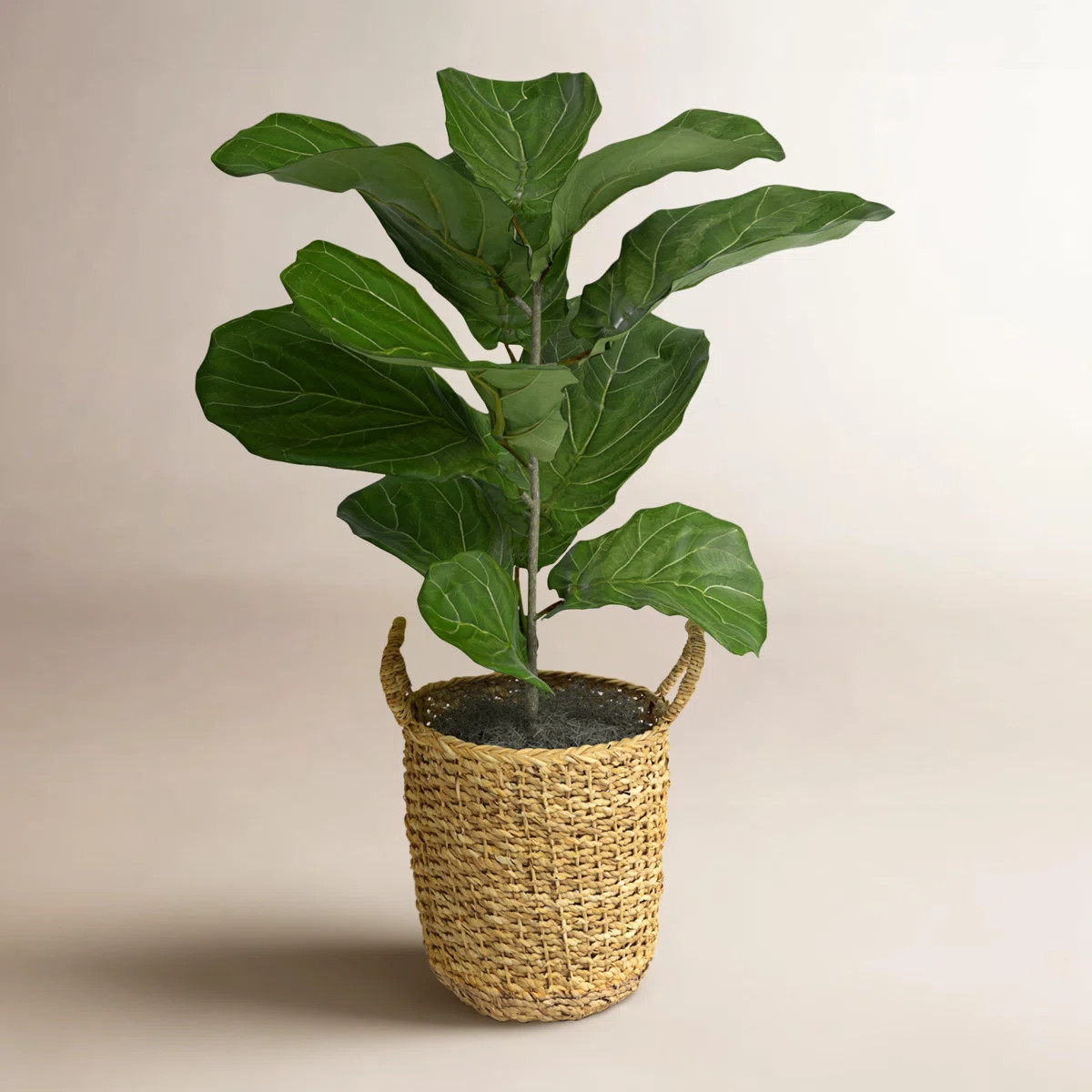 $59.99  was$113.99 47% Off | Wayfair North America