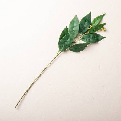 22&#34; Faux Long Leaf Eucalyptus Plant Stem - Hearth &#38; Hand&#8482; with Magnolia | Target