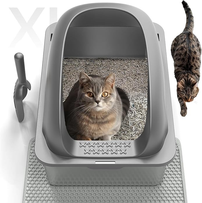 Cat Stainless Steel Litter Box with Lid, Kitty Extra Large Metal Litter Boxes XL High Sided with ... | Amazon (US)