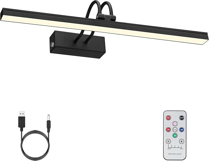 FUNCHDAY Picture Light, Wireless Rechargeable Gallery Light with Remote, 280LM Dimmable Painting ... | Amazon (US)
