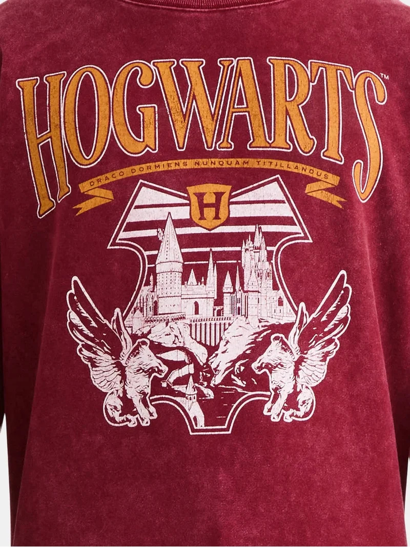 Visit the Harry Potter Store | Walmart (US)