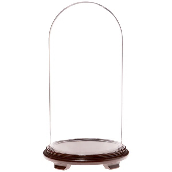 Brentwood Display Dome Cloche | Wayfair North America