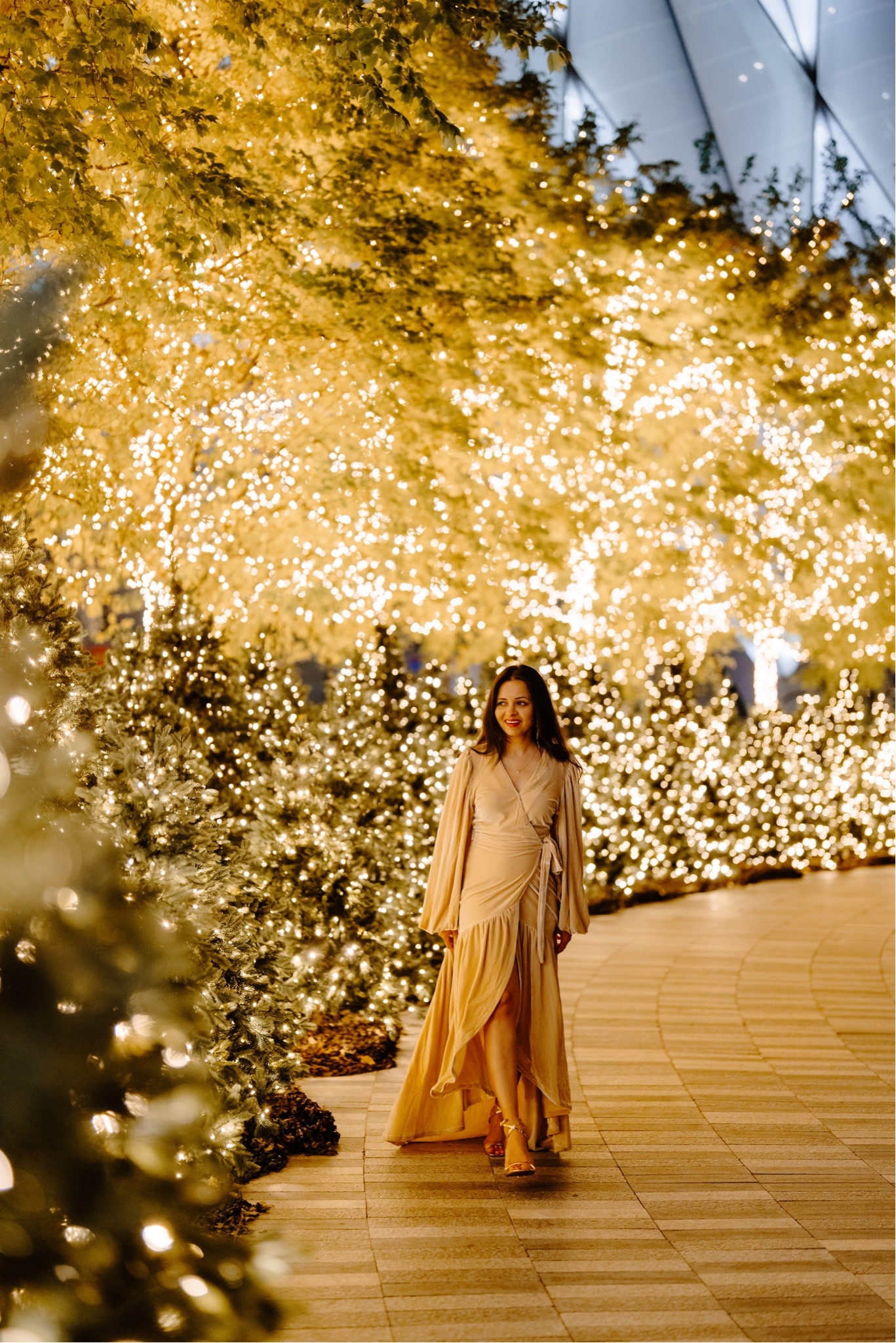 Velvet dress 
Maxi dress 
Holiday dress
Holiday outfit 
Christmas outfit 
Holiday photoshoot 
Holiday dresses 

#LTKparties #LTKsalealert #LTKHoliday