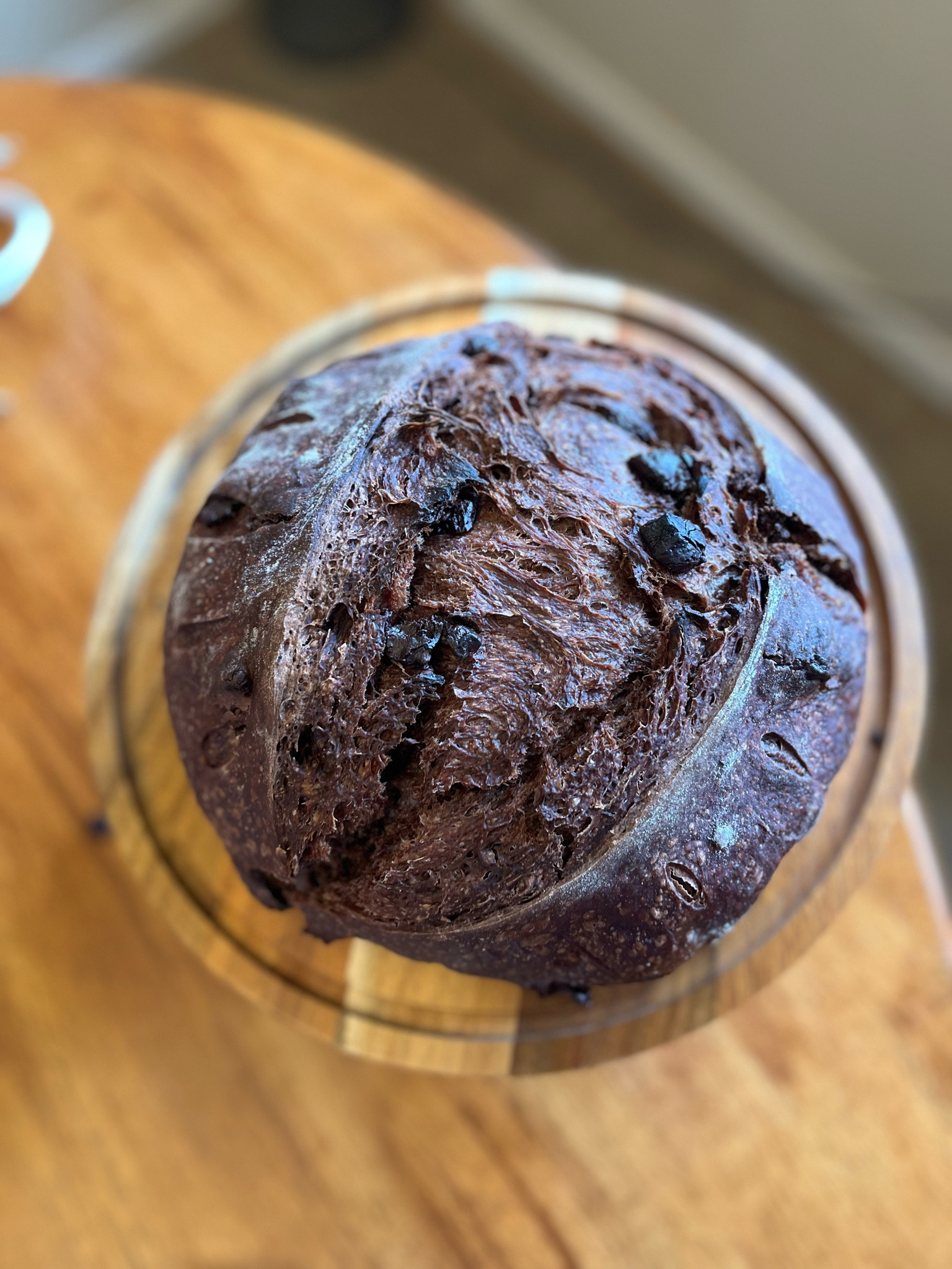 chocolate sourdough



#LTKFindsUnder50 #LTKHome