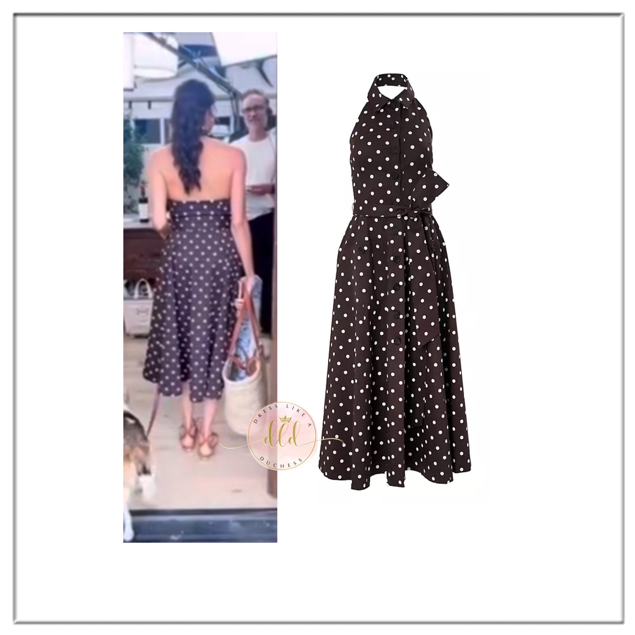 Meghan Markle wearing Carolina Herrera polka dot cotton midi dress in brown 