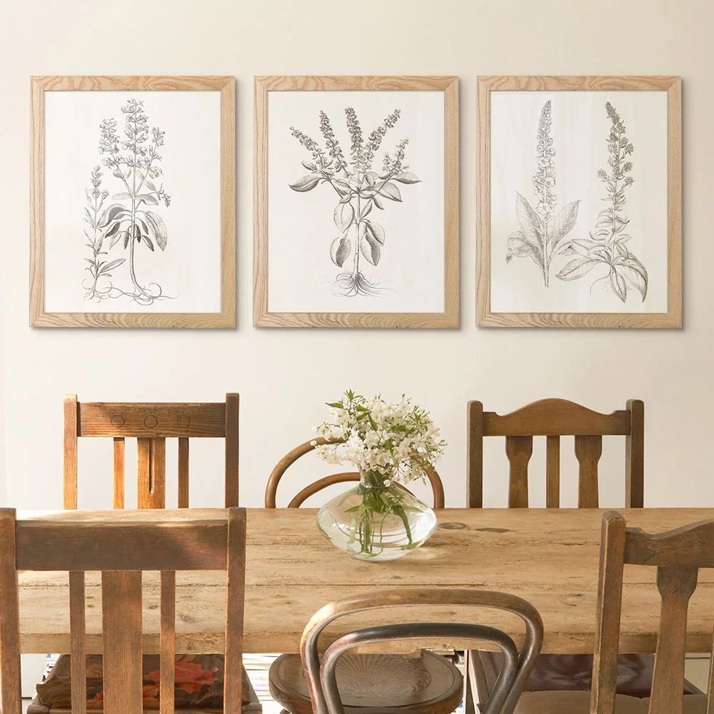 My Texas House - Sepia Besler Botanicals Framed Wall Art Print Set - 16x20 | Walmart (US)