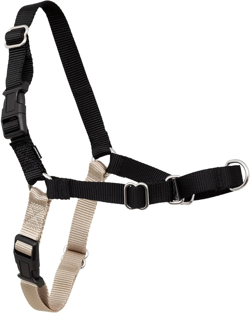 PetSafe Easy Walk No-Pull Dog Harness - The Ultimate Harness to Help Stop Pulling - Take Control ... | Amazon (US)