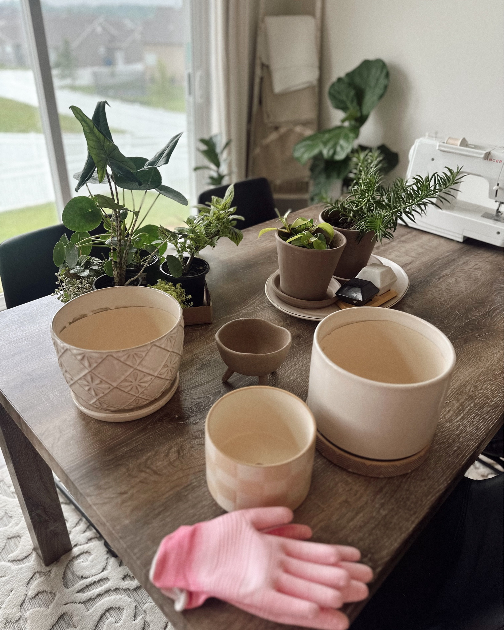 my favorite decor to have in the house 🌻🌿🍃🌱🪷🪴

#LTKU #LTKFamily #LTKHome