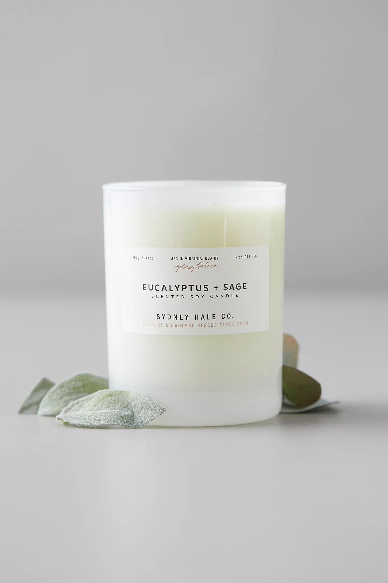 Sydney Hale Candle, Eucalyptus + Sage | Anthropologie (US)