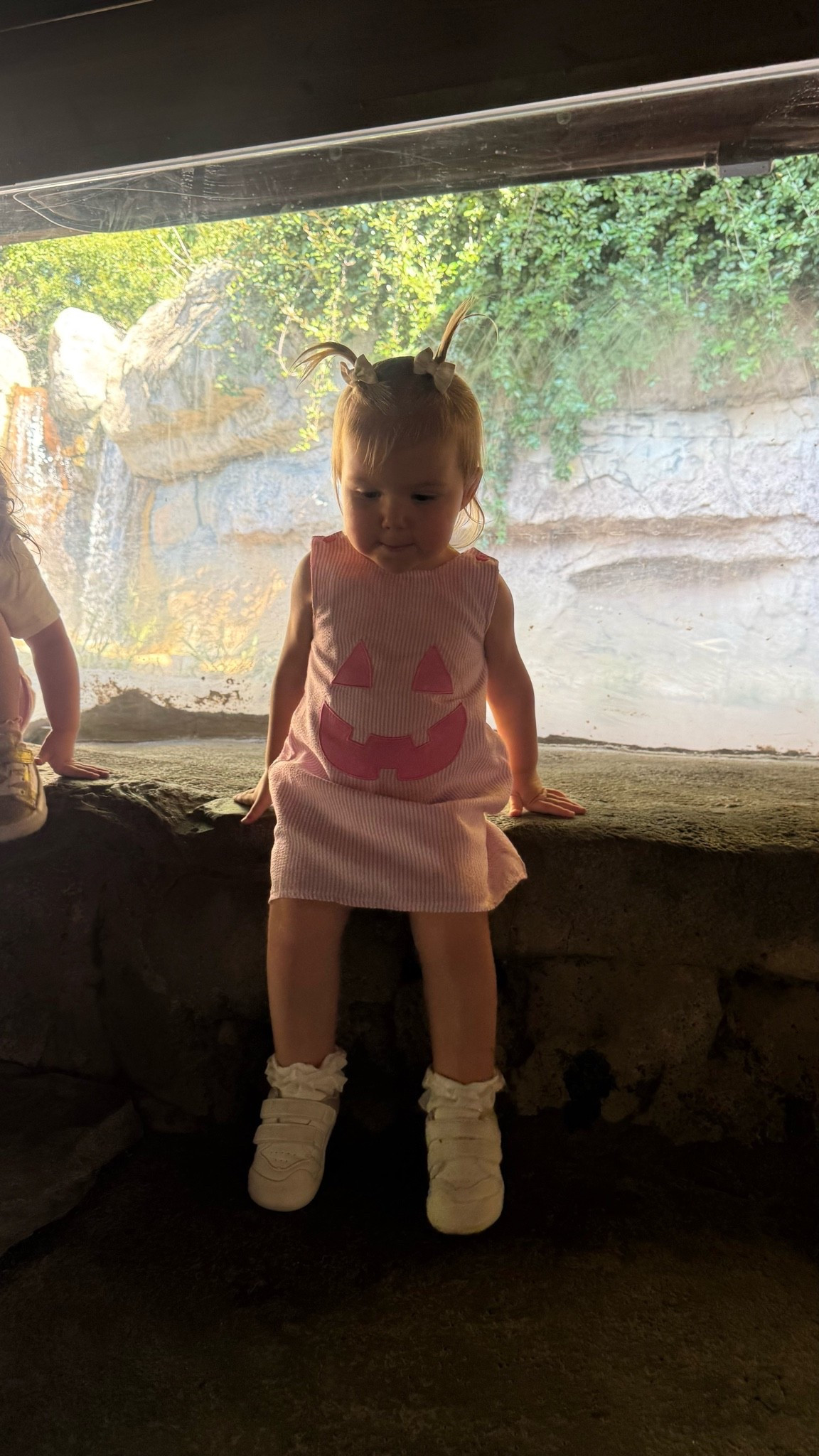 Jack o lantern dress is too cute!! She’s wearing the 18-24 month size