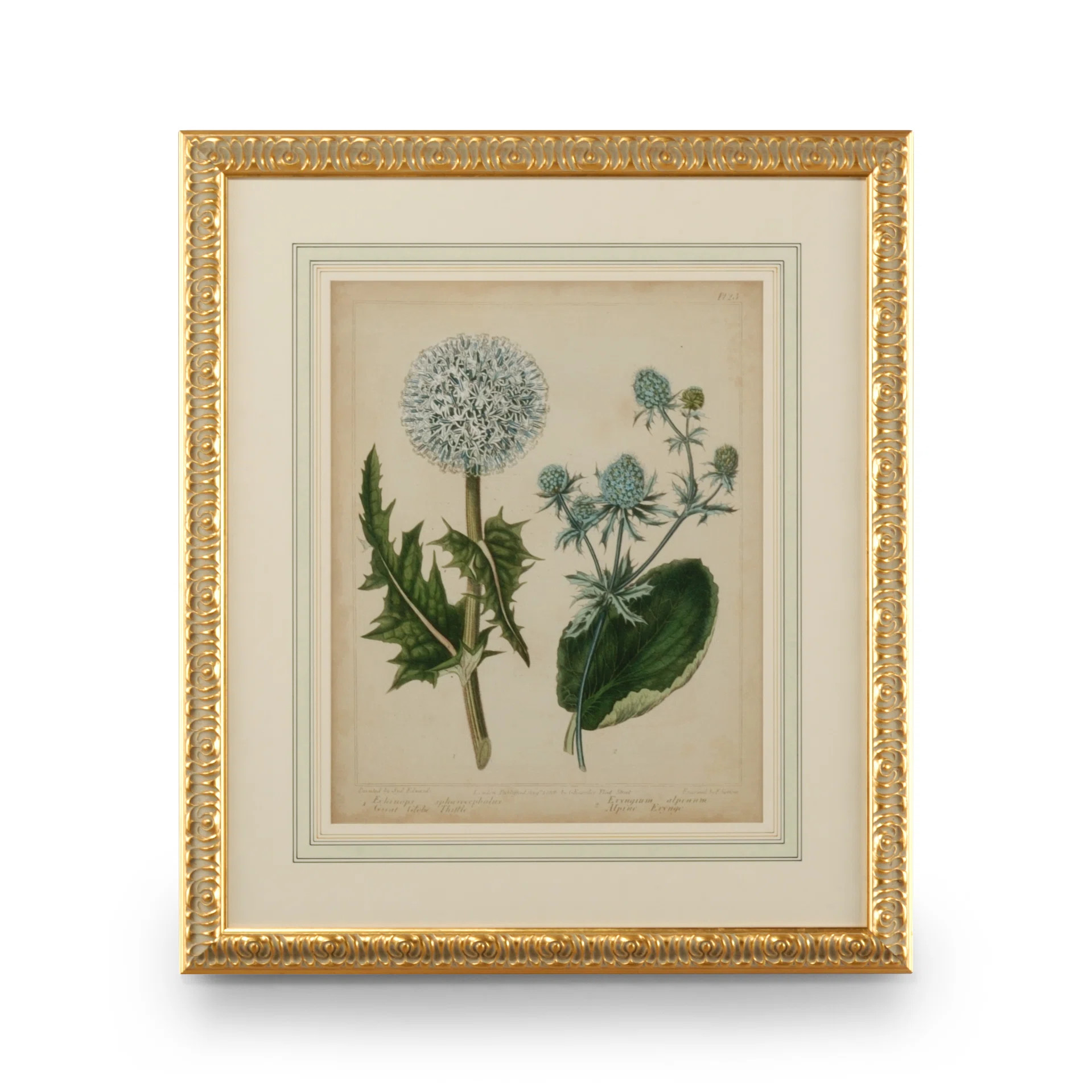 Cottage Florals III - Picture Frame Painting | Perigold