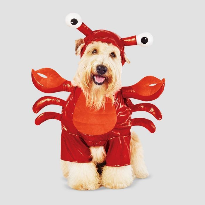 Lobster Frontal Dog and Cat Costume - Hyde & EEK! Boutique™ | Target