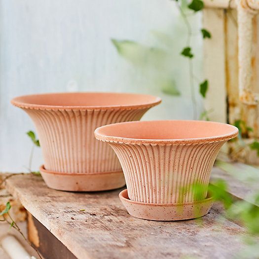 Bergs Fluted Pot + Saucer Set | Terrain