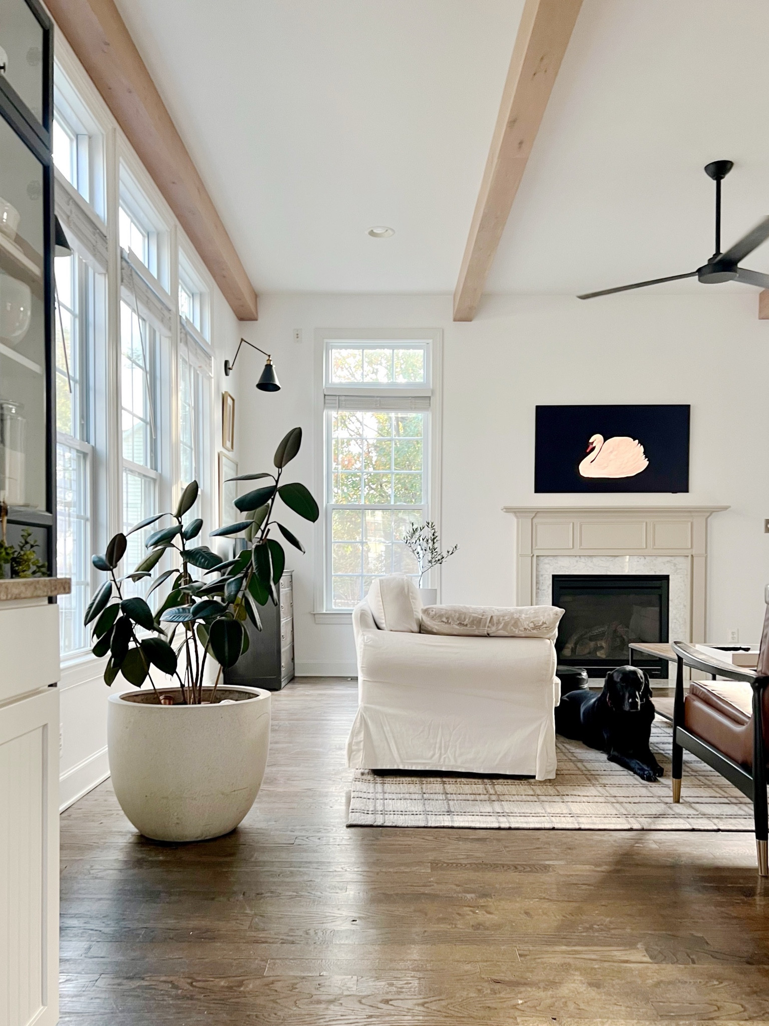 Meet Henry, our resident nap enthusiast, crumb collector, and all-around good boy. We’ve always *thought* we knew his breed—but honestly, his mix of quirks keeps us and his doctors guessing. So this year, we’re sending off a DNA test for Christmas!  

Is he part lab, part philosopher? Maybe a touch of secret reindeer magic? Stay tuned for the big reveal… because even Santa doesn’t know what’s under this fur coat.



#LTKGiftGuide #LTKSeasonal