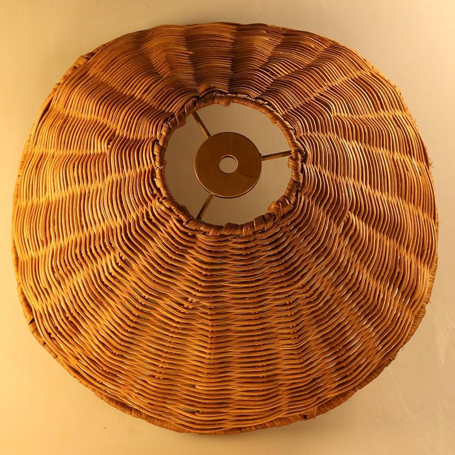Vintage Rattan Woven Lamp Shade - Unique Bell/Flower Design boho lamp shade Table Lamps Shade,rat... | Amazon (US)