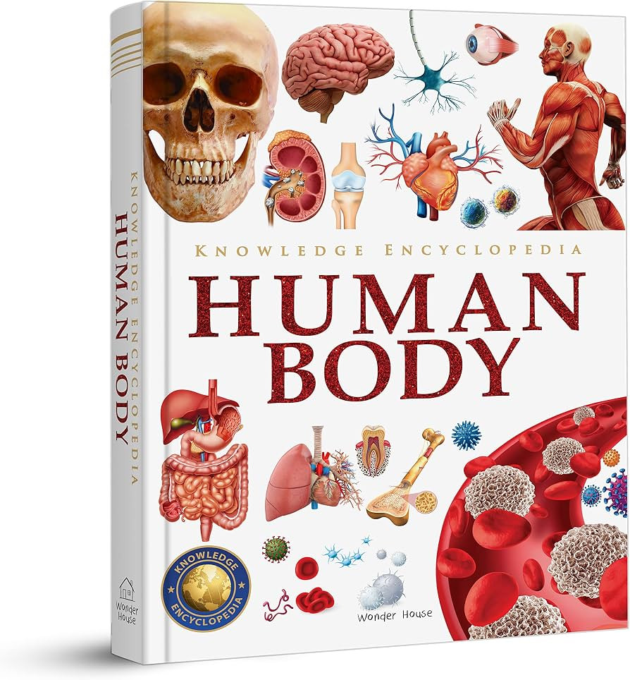 Knowledge Encyclopedia Human Body (Knowledge Encyclopedia For Children) | Amazon (US)