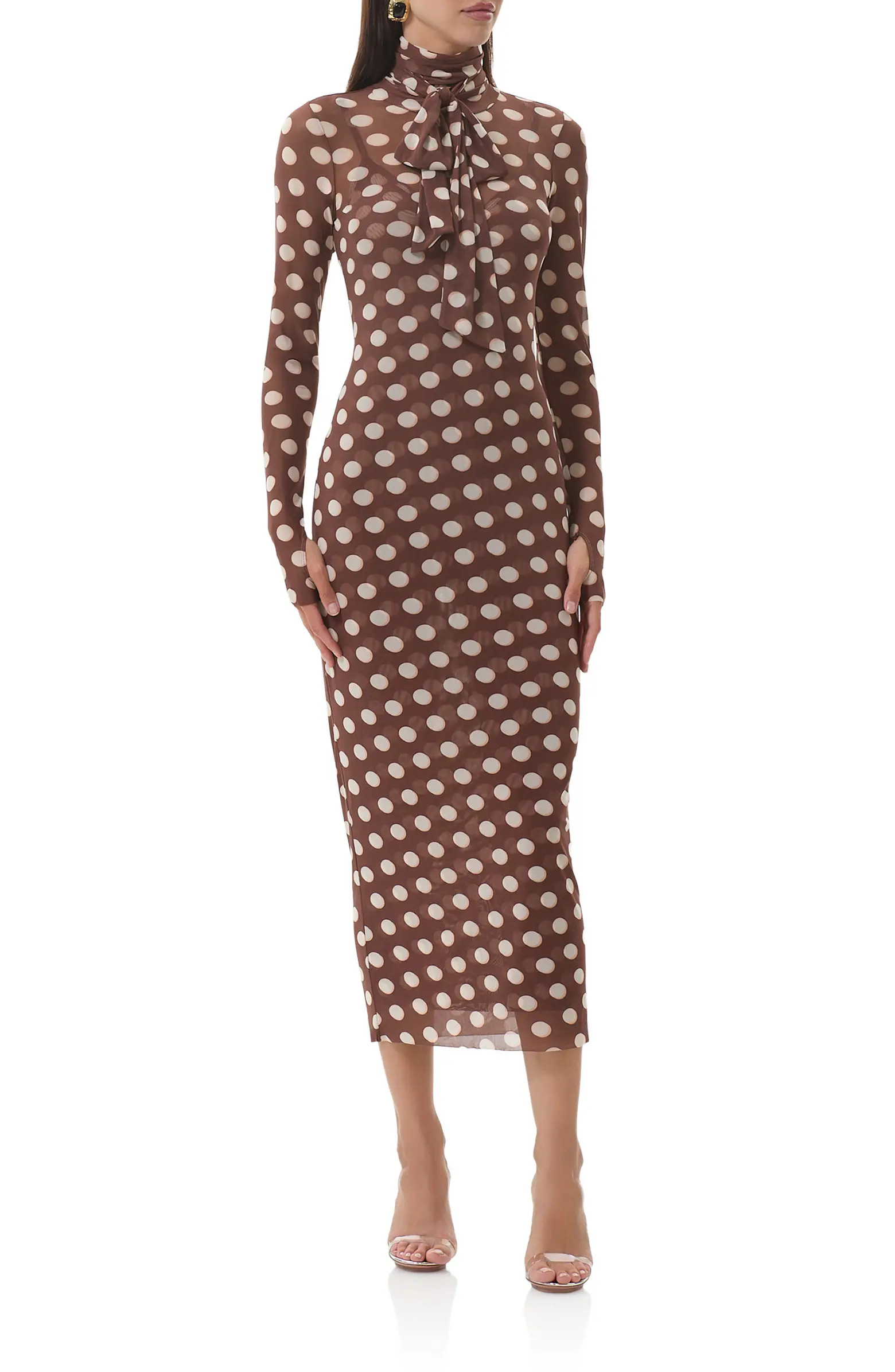 Bryony Long Sleeve Polka Dot Mesh Dress | Nordstrom