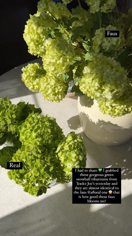 The perfect snowball faux blooms from afloral 

#LTKVideo #LTKhome #LTKSeasonal