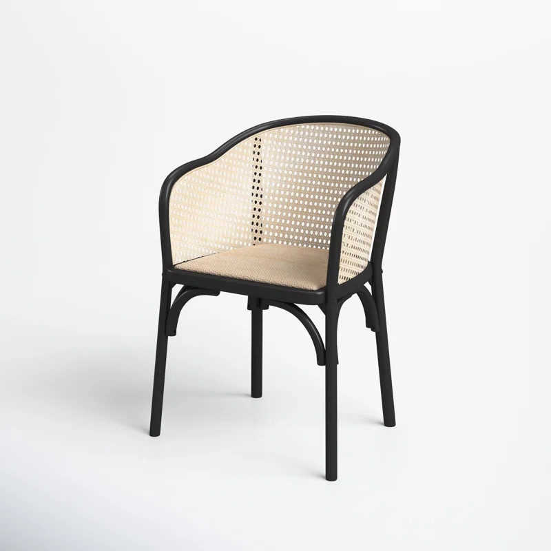 Fabiana Arm Chair | Wayfair North America