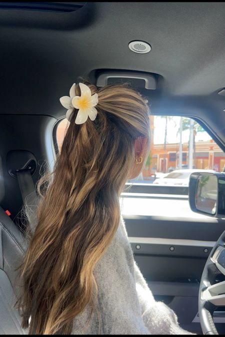 Simple hair style with flower clip :) 

Amazon Clips come in a pack! Good dupe for the emi jay ones  