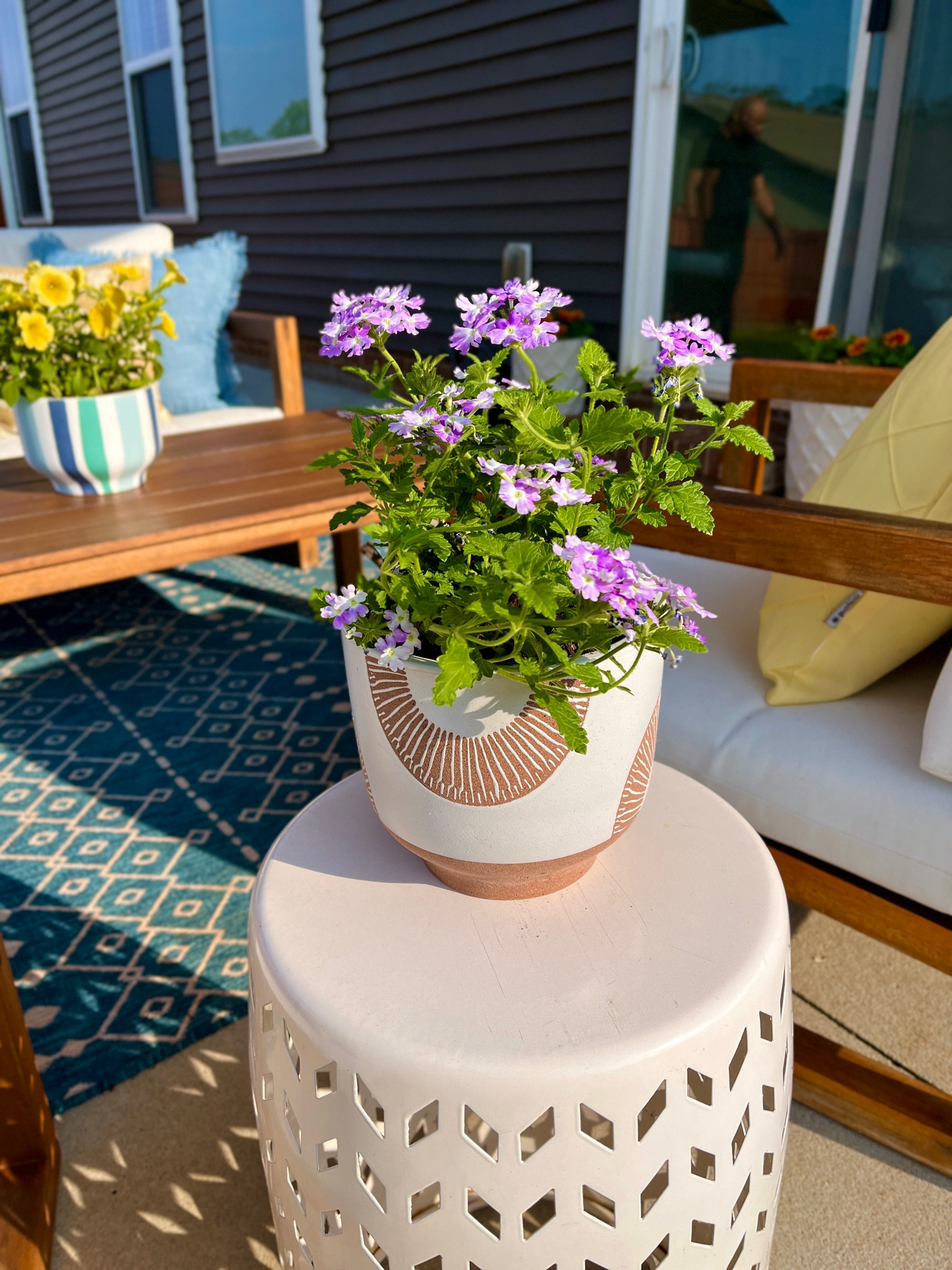 Amethyst Verbena in a planter from Lowes 

#LTKstyletip #LTKSeasonal #LTKhome