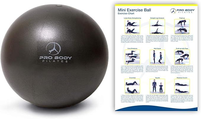 ProBody Pilates Mini Exercise Ball - 9 Inch Small Bender Ball for Stability, Barre, Pilates, Yoga... | Amazon (US)