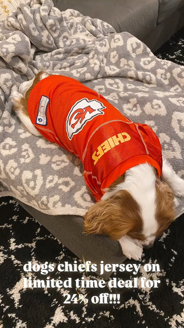 dogs chiefs jersey on limited time deal for 24% off!!!

#LTKWatchNow #LTKGiftGuide #LTKSaleAlert