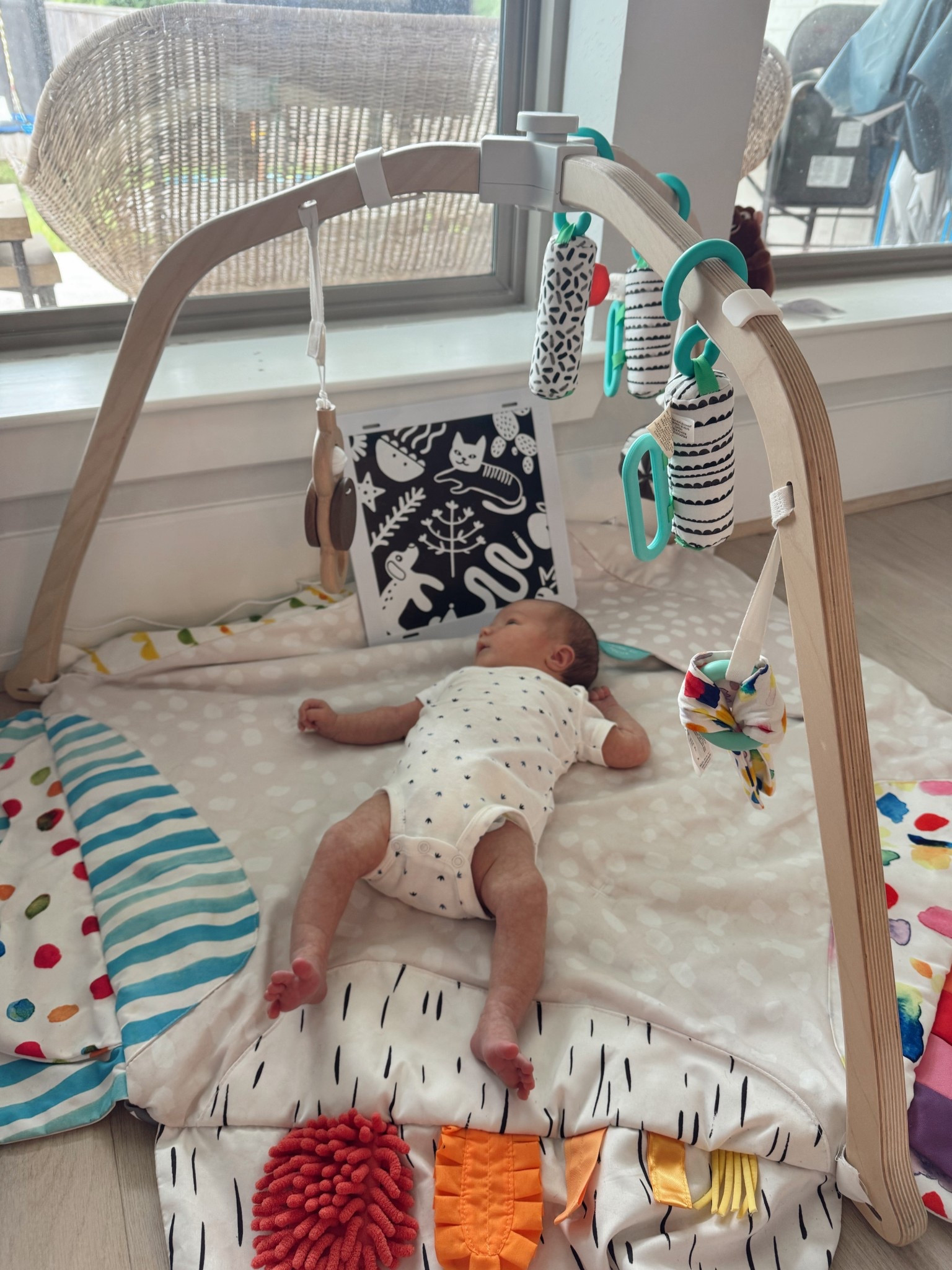 Our most used newborn and baby toy! You can start using it instantly when they are newborns but it’s also so much fun still when they’re sitting on their own and able to interact more!

#LTKBaby #LTKKids #LTKmomlife