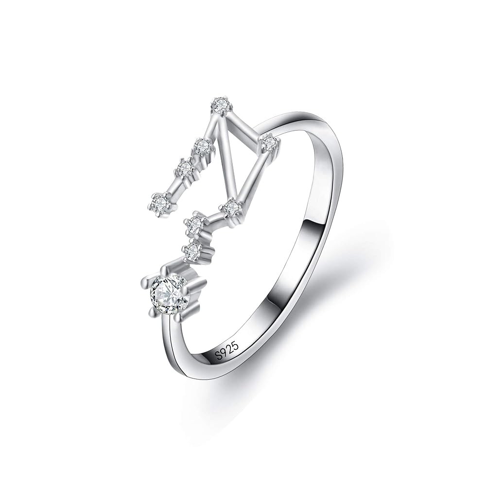 BriLove 925 Sterling Silver CZ Statement Ring Horoscope Zodiac 12 Constellation Astrology Adjusta... | Amazon (US)