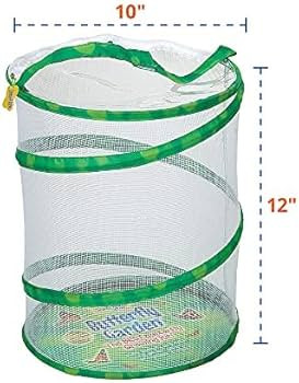 Painted Lady Butterfly Kit - Habitat, STEM Journal, & Voucher for Chrysalis Log & Caterpillars - ... | Amazon (US)