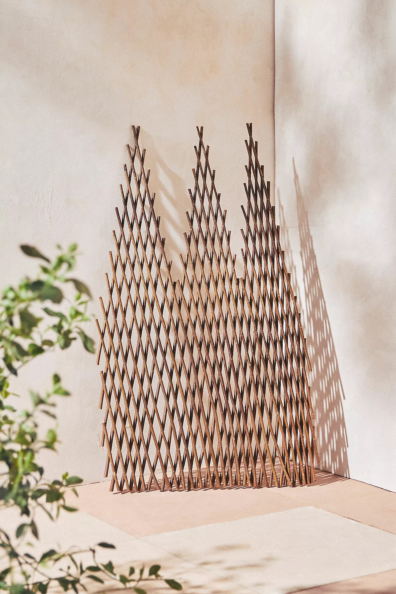 Diamond Top Willow Trellis | Anthropologie (US)